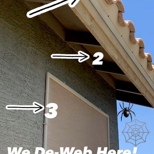 Featured Projects