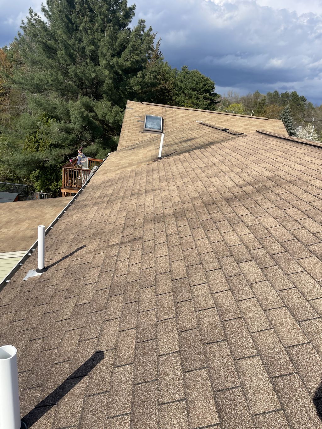 Roof Repair or Maintenance