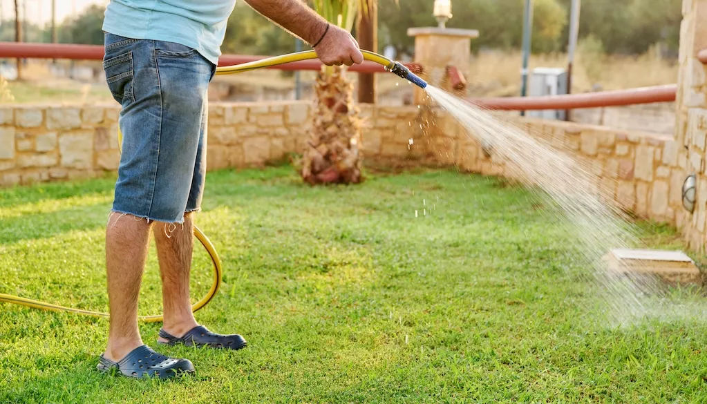 man watering lawn in yard
