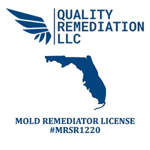 Florida Licensed Mold Remediation Company