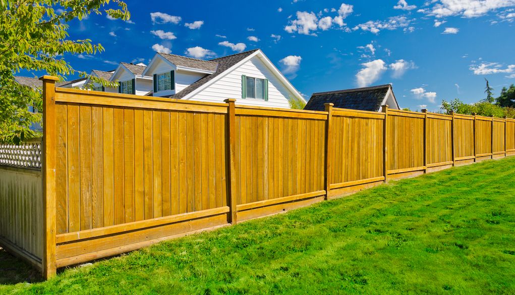 Cedar Fence vs Pine | Cost, Pros and Cons