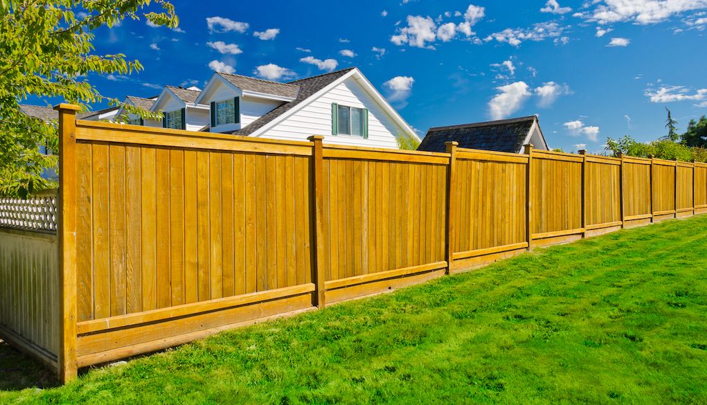 Cedar fence vs. pine: Which one is better?