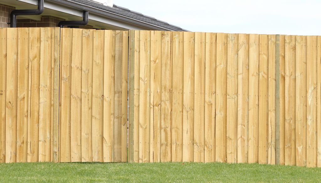 treated pine fence in yard