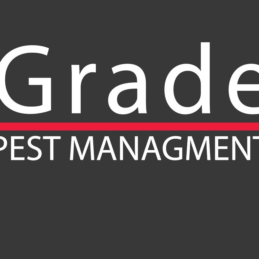 A Grade Pest Management
