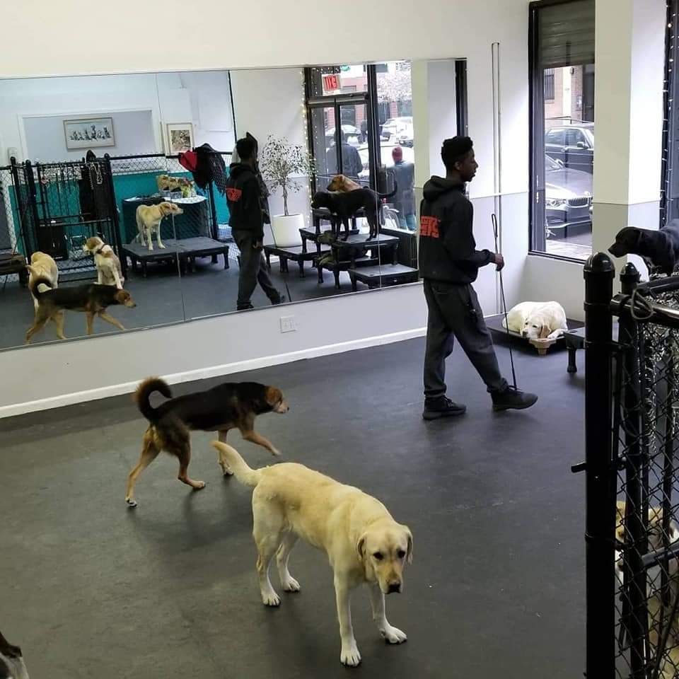 Yes we pet friendly