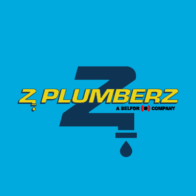 Avatar for Z Plumberz of Tampa Bay