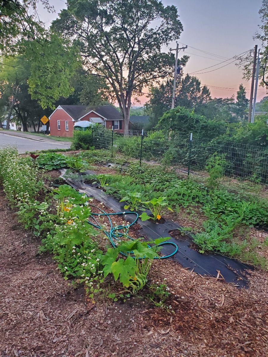 Gardening