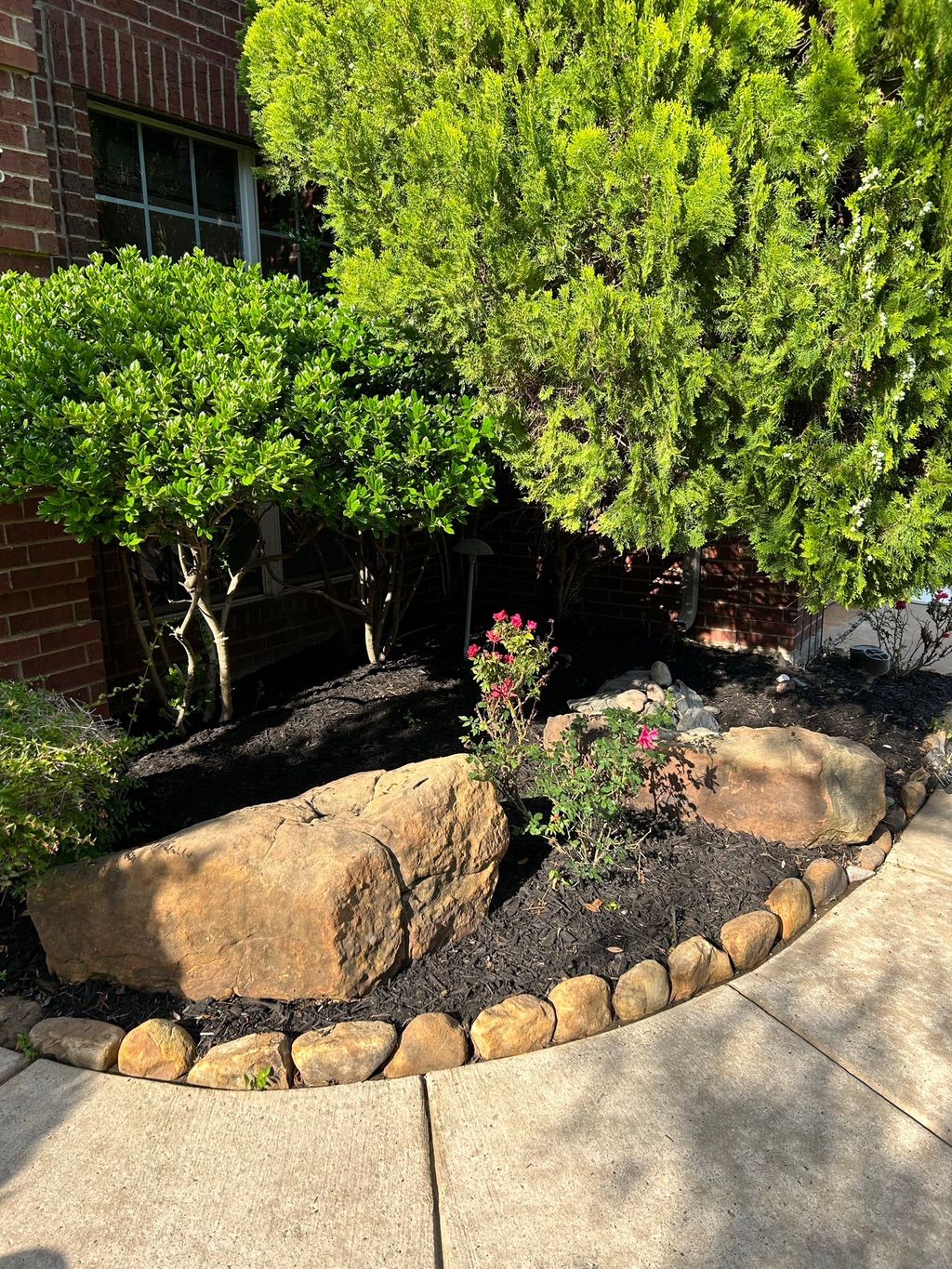 Customer photos
