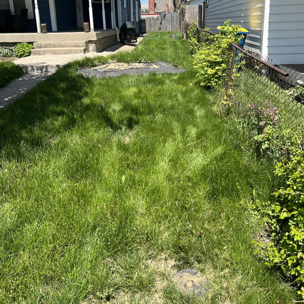 Lawn Mowing and Trimming project from 2023