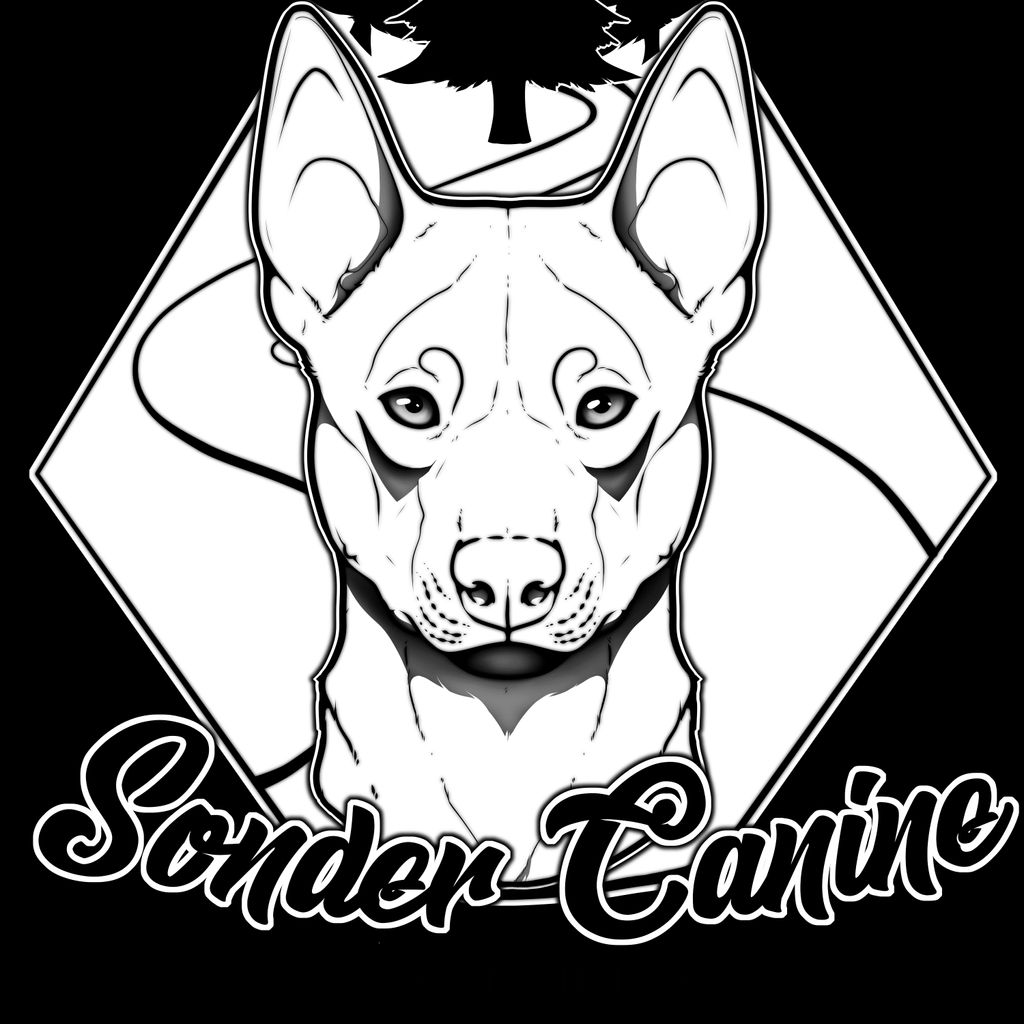 Sonder Canine