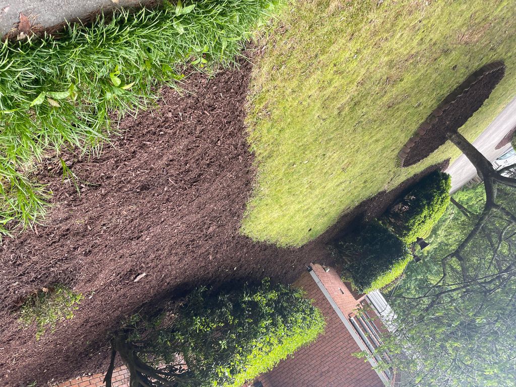 Mulch 