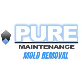 Pure Maintenance Mold Removal