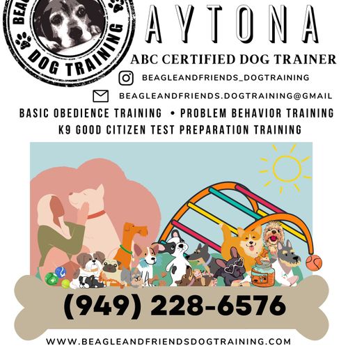 Animal Training and Behavior Modification (Non-canine)