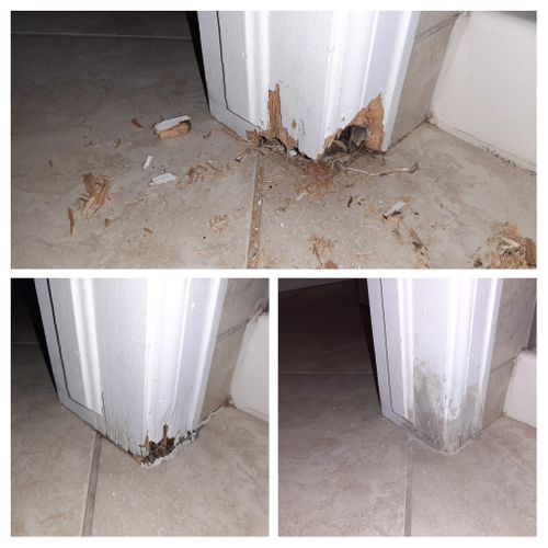 Door Repair