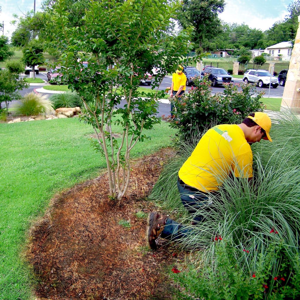 The Grounds Guys of Riverview, Fl