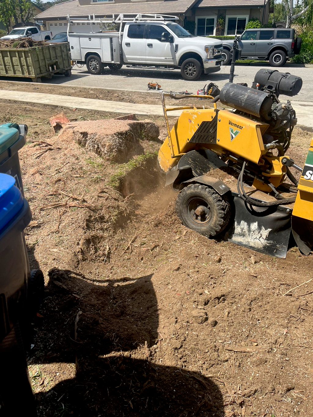 Big stump removal 