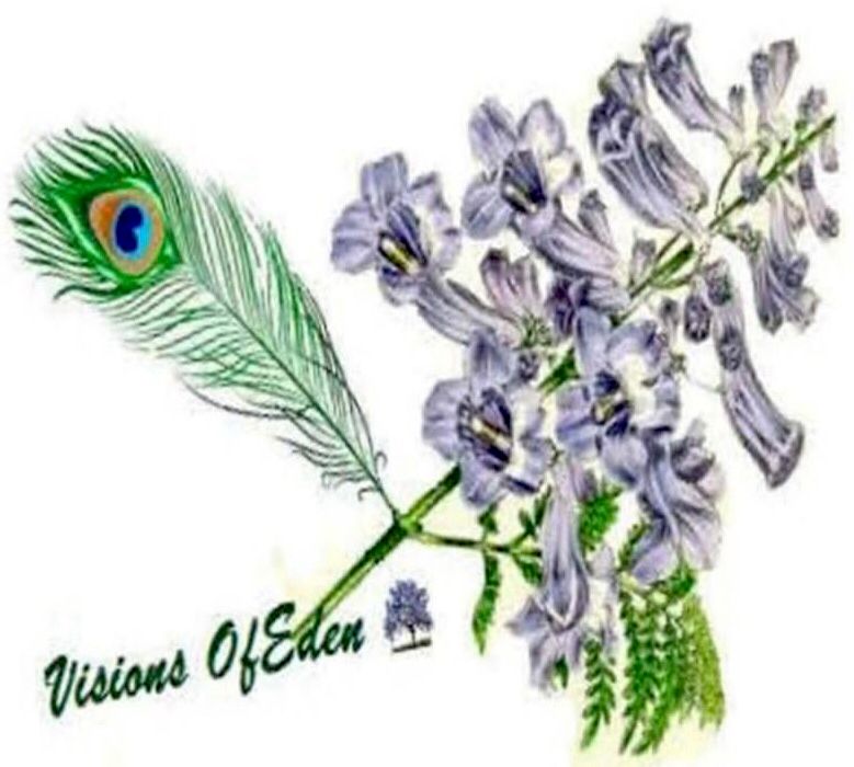 Visions of Eden LLC