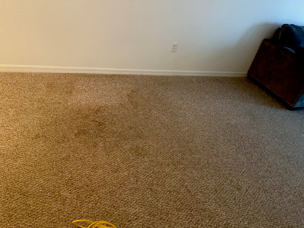Before cleaning