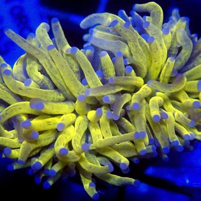 Avatar for Aquarium Center