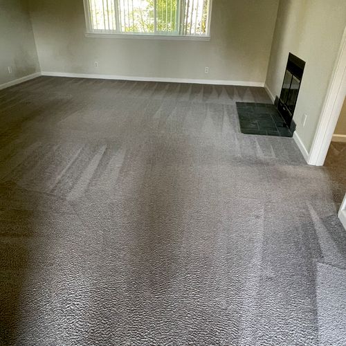 Reached out for move out carpet cleaning a week be