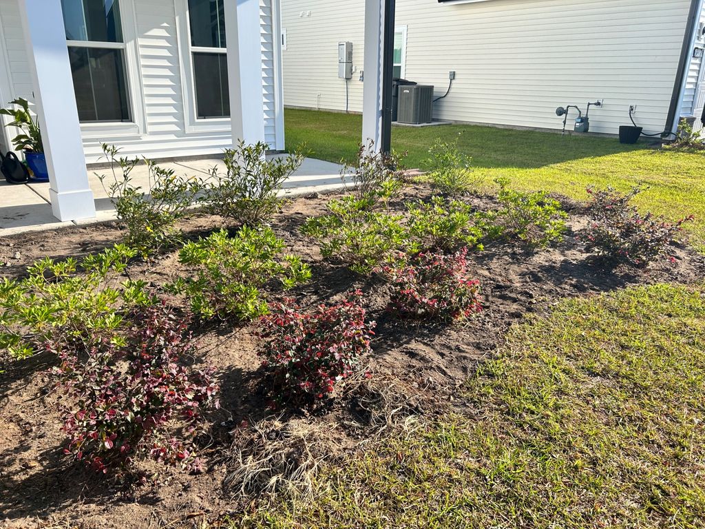 We bought some flowers and shrubs on a whim and go