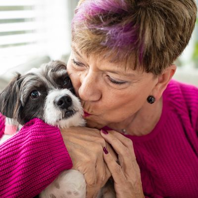 Avatar for Canine To 5 Pet Services