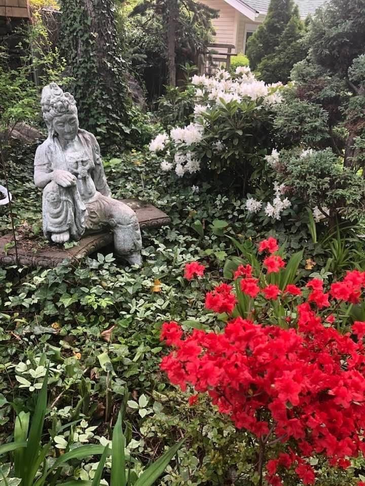 A calm and relaxing environment 