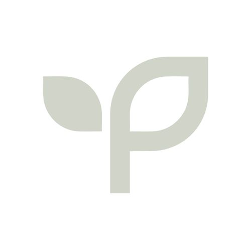 Palo Verde landscapes Profile Picture