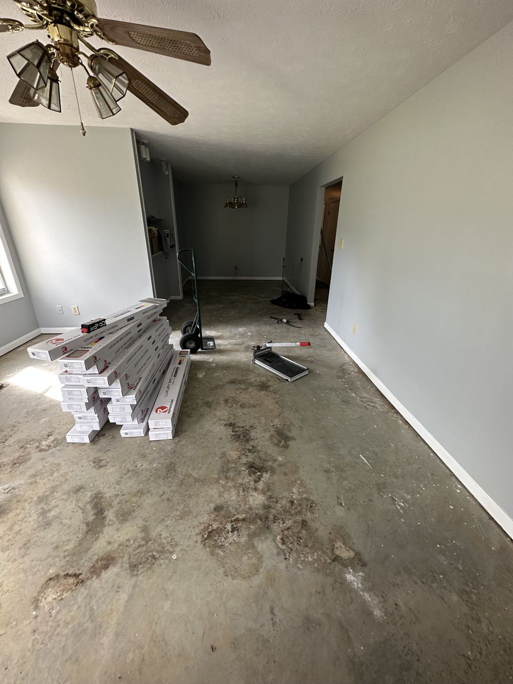 Projects and media