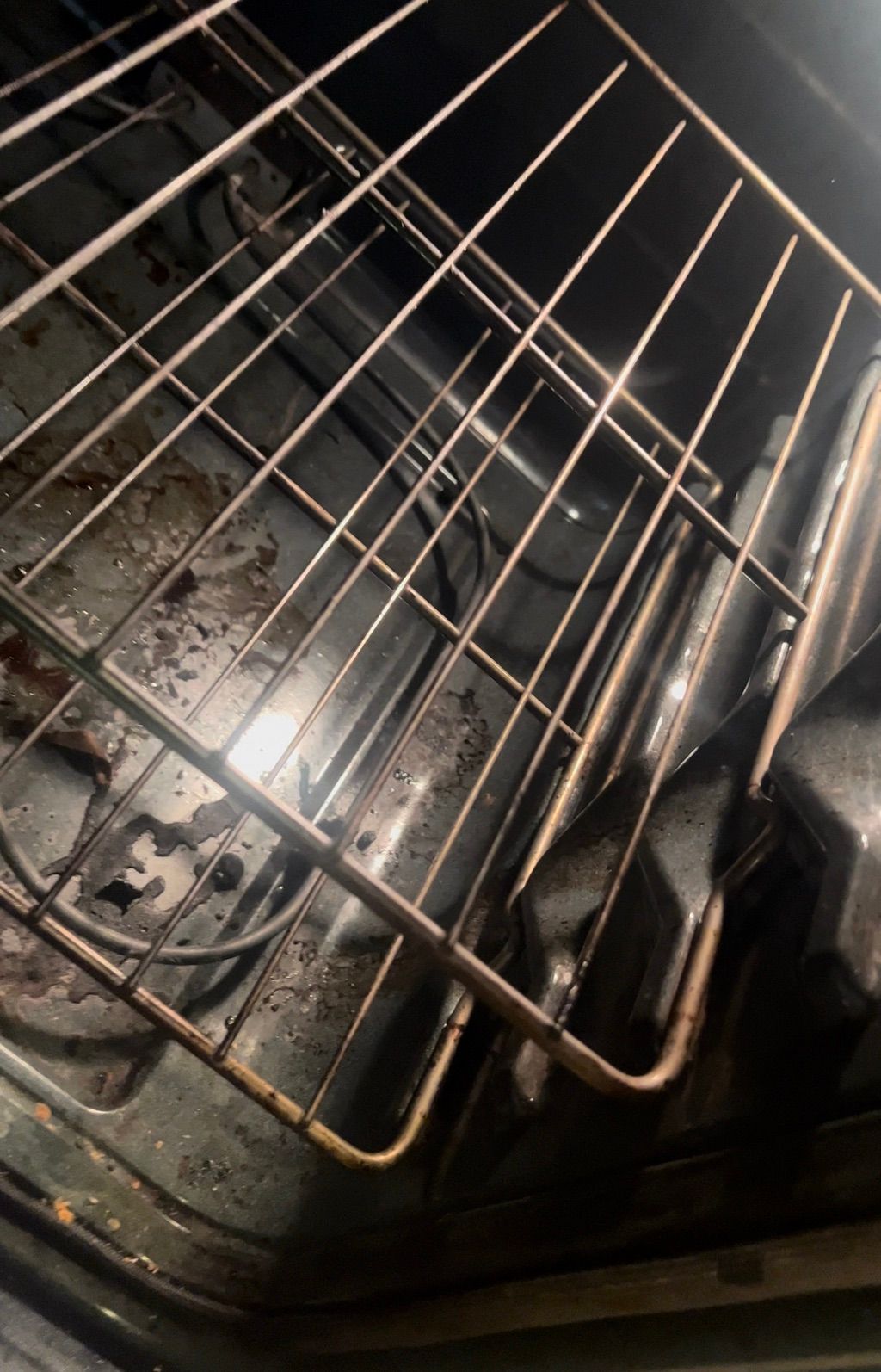 Before cleaning oven
