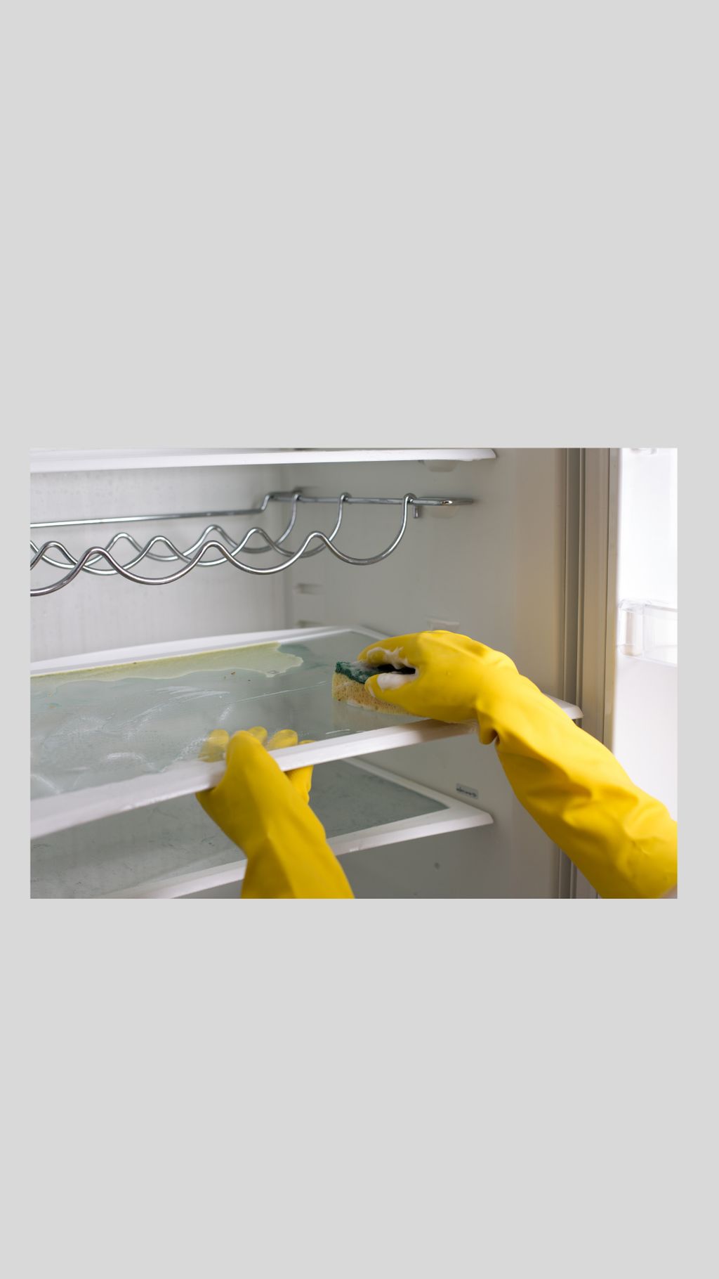 fridge cleaning 