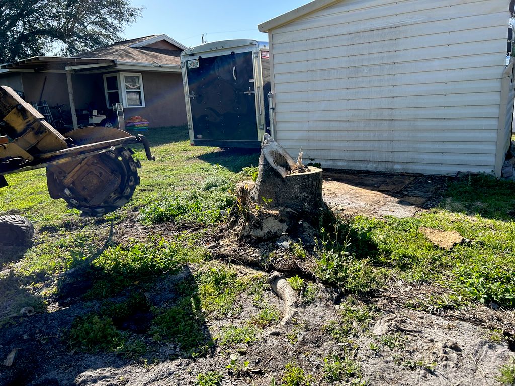 Tree Stump Grinding and Removal