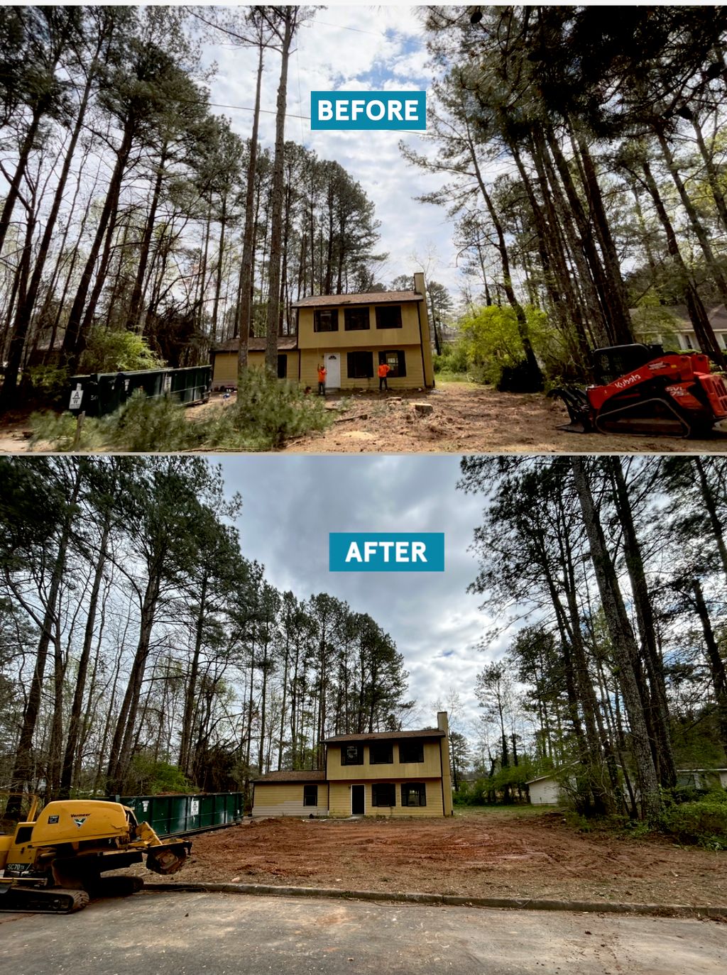 Tree Trimming and Removal