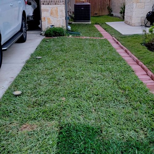 I requested quotes for replacing Bermuda grass wit