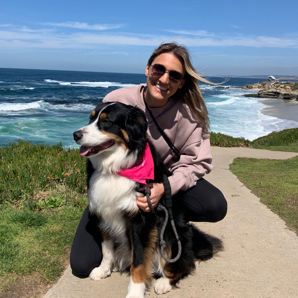 Meagan’s Dog Walking and Sitting Services