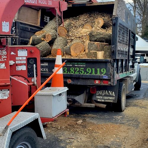 Jd Tree Service Greenville, SC Thumbtack