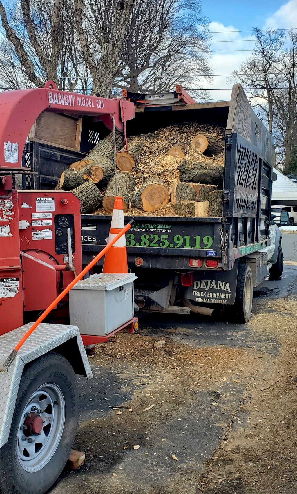 Tree Stump Grinding and Removal