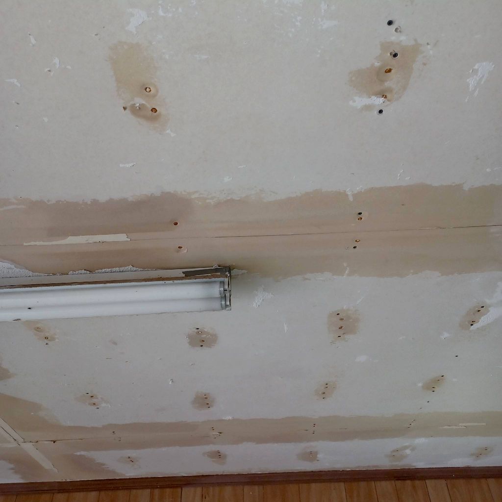 Drywall Dreams And Paint