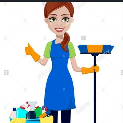 Avatar for Giseli cleaning service