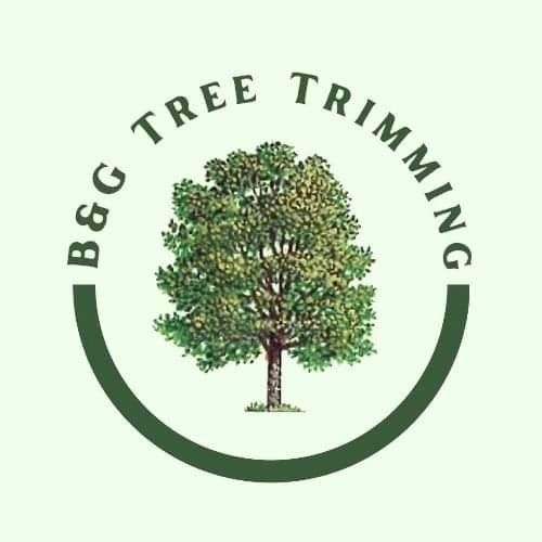 B&G Tree Trimming