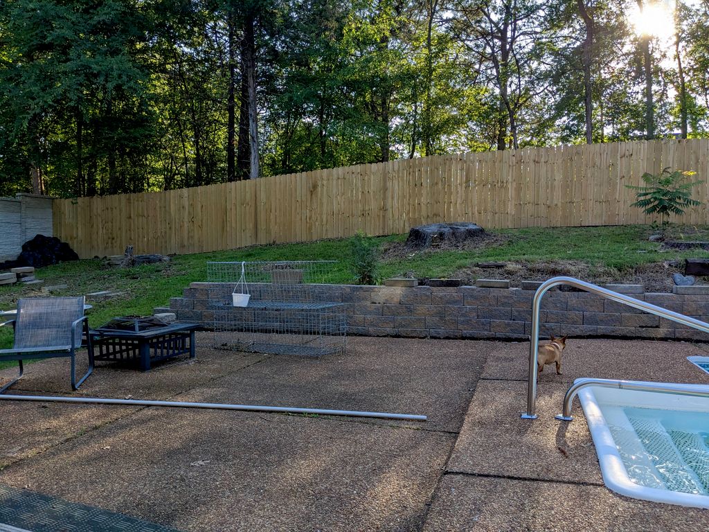 Customer photos