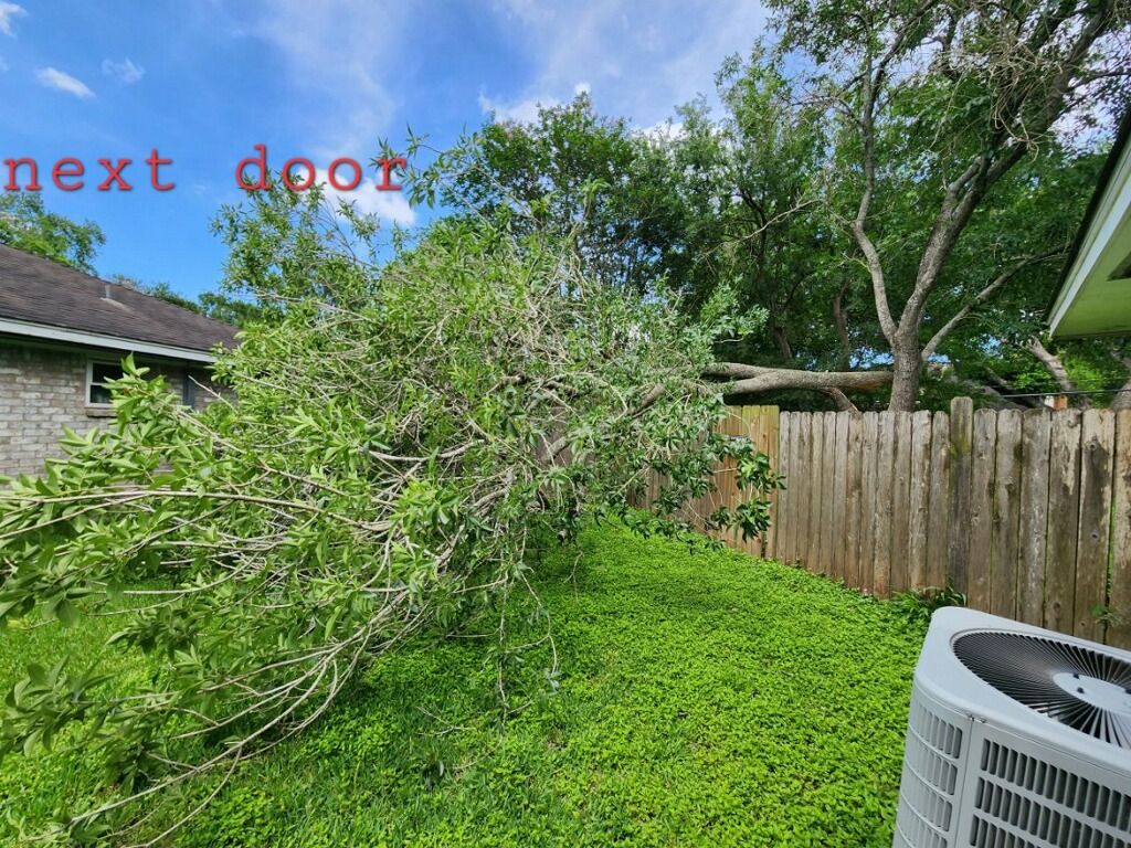 Tree Trimming and Removal