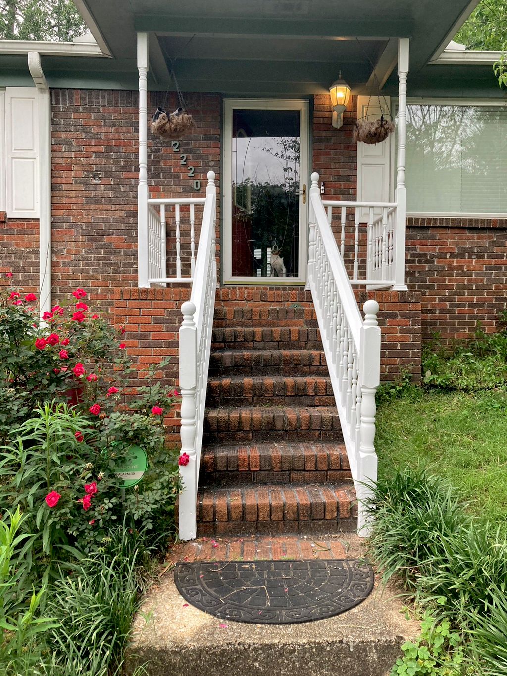 Customer photos