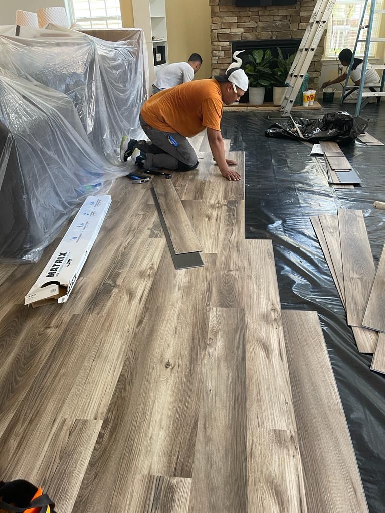 Projects and media