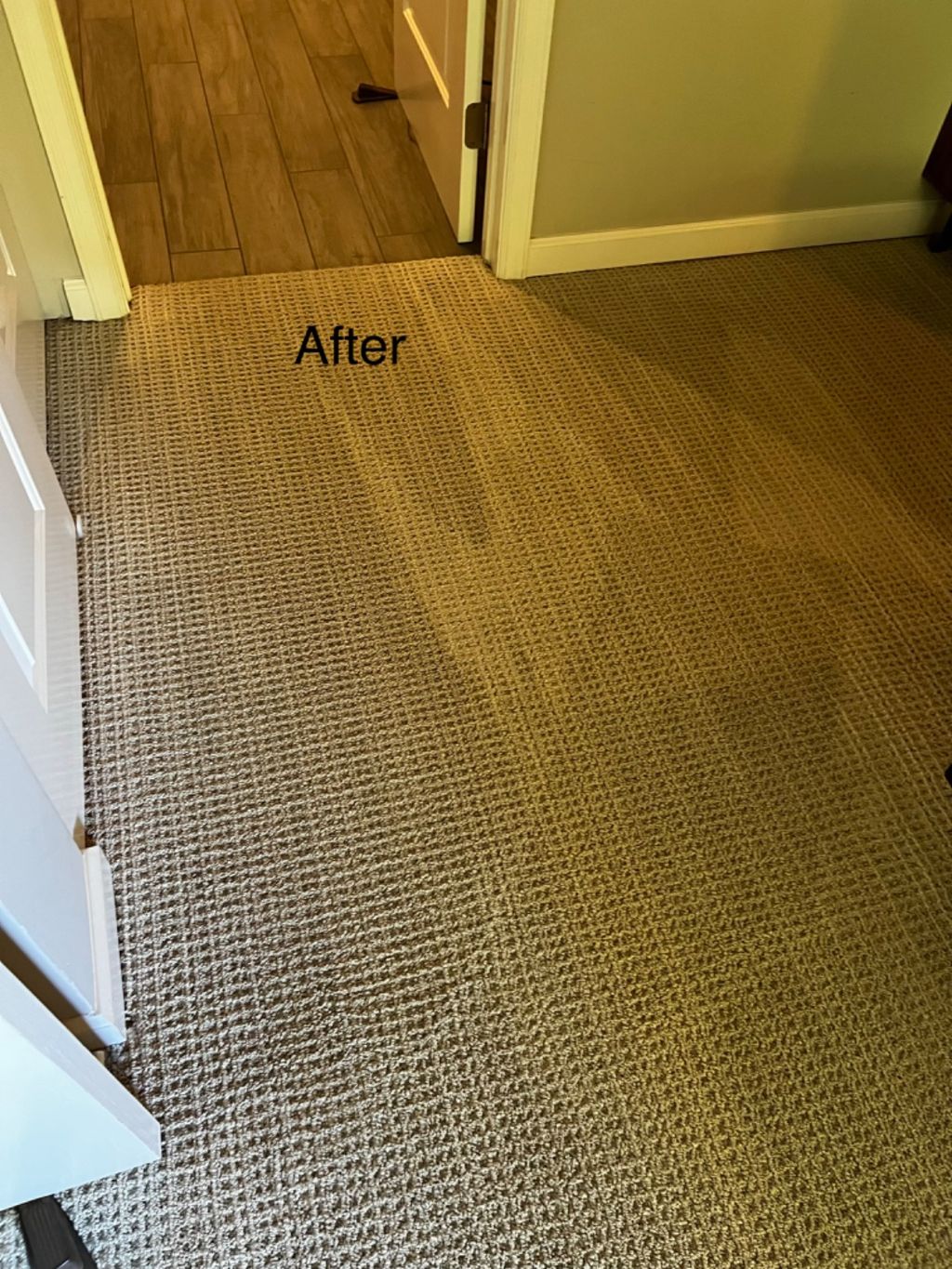 Customer photos