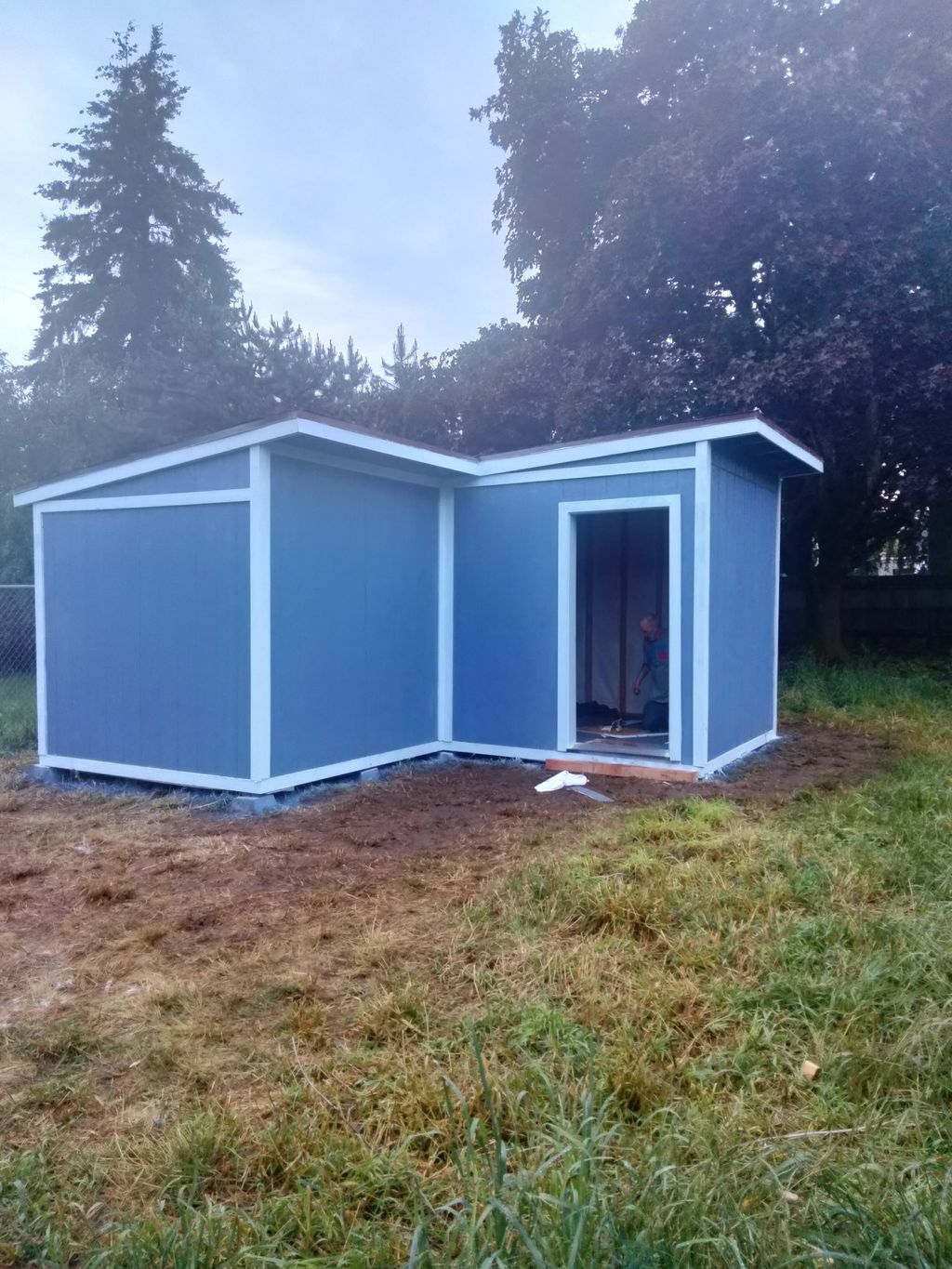 Projects and media