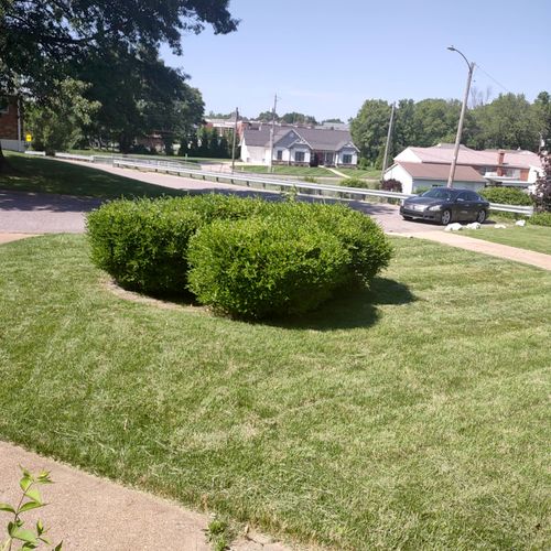 If you're too busy to keep your lawn looking good 