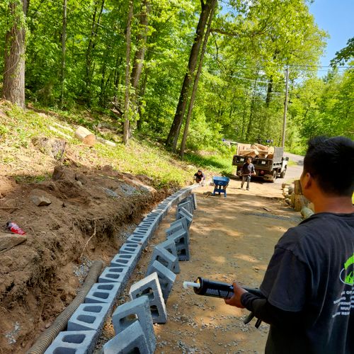 5 trees + retaining wall project 