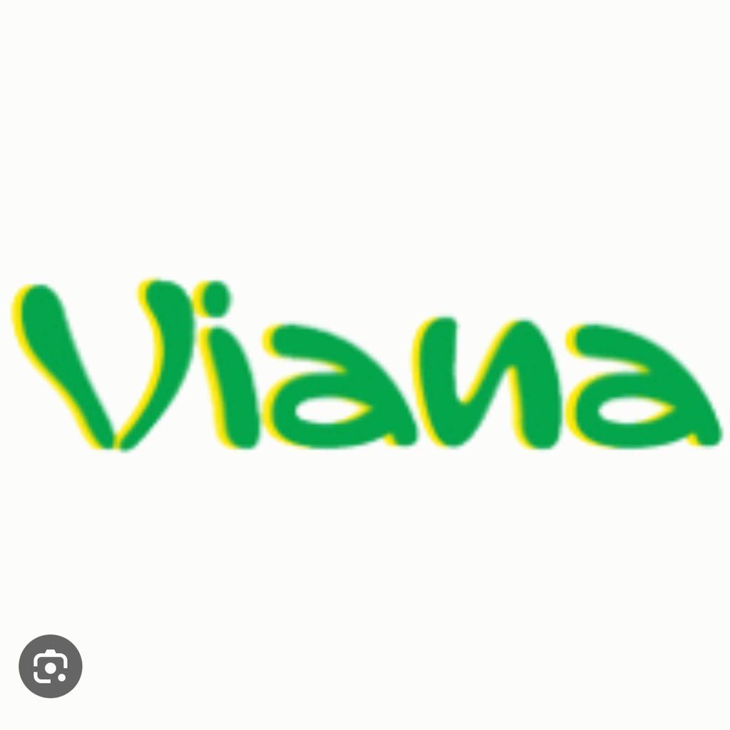 Viana’s Party Services