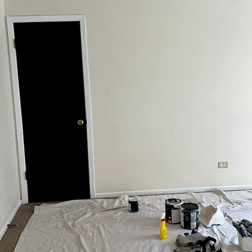 Entire apartment walls/trim painted